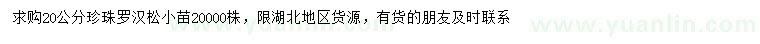 求購(gòu)20公分珍珠羅漢松