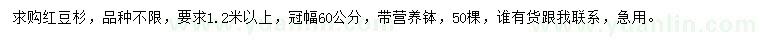 求購(gòu)1.2米以上紅豆杉