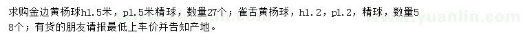 求購(gòu)金邊黃楊球、雀舌黃楊球