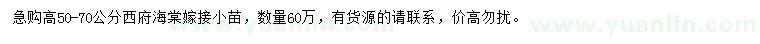求購(gòu)高50-70公分西府海棠嫁接小苗