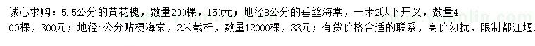 求購黃花槐、垂絲海棠、貼梗海棠