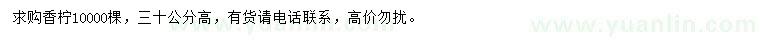 求購(gòu)高30公分香檸