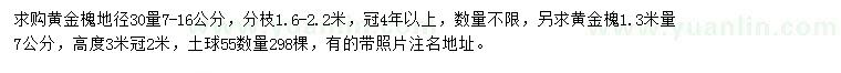求購(gòu)黃金槐