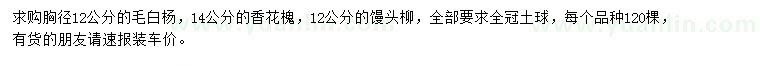 求購毛白楊、香花槐、饅頭柳