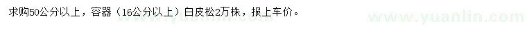 求購(gòu)50公分以上白皮松
