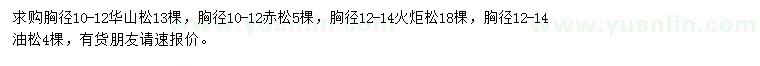 求購華山松、赤松、火炬松等