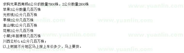 求購(gòu)光果西南楊、旱柳、高山柳等