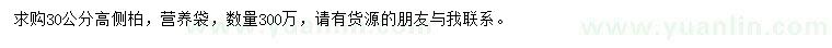 求購高30公分側(cè)柏