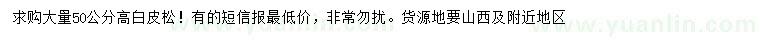 求購高50公分白皮松