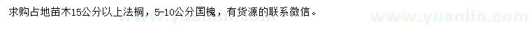 求購15公分以上法桐、5-10公分國槐
