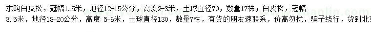 求購冠1.5、3.5米白皮松