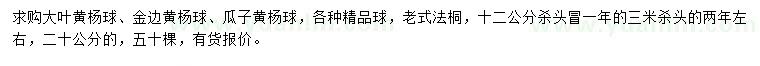 求購大葉黃楊球、金邊黃楊球、瓜子黃楊球等