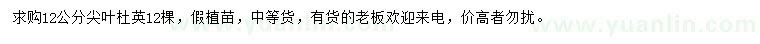 求購12公分尖葉杜英