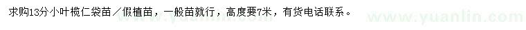 求購13公分小葉欖仁