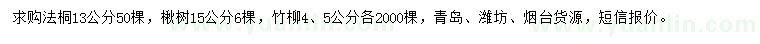 求購法桐、楸樹、竹柳