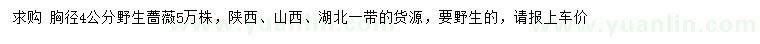 求購胸徑4公分野生薔薇