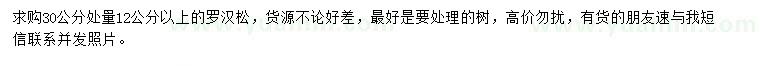 求購(gòu)30公分處量12公分以上羅漢松