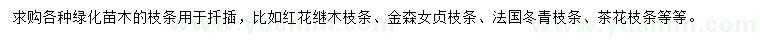 求購(gòu)紅花繼木枝條、金森女貞枝條、法國(guó)冬青枝條等