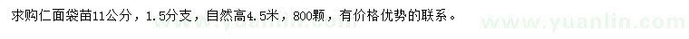 求購11公分仁面袋苗