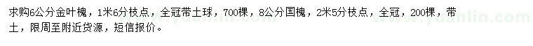 求購6公分金葉槐、8公分國槐
