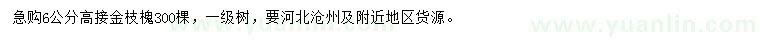 求購6公分金枝槐