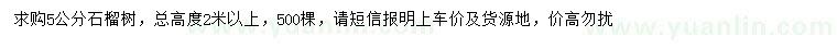 求購(gòu)5公分石榴樹