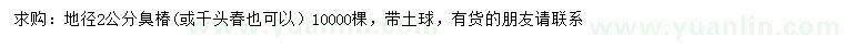 求購地徑2公分臭椿