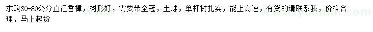 求購直徑30-80公分香樟