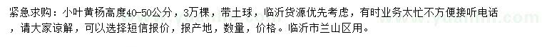 求購高40-50公分小葉黃楊