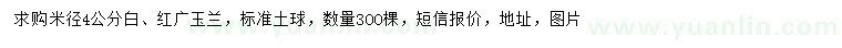 求購白玉蘭、紅玉蘭、廣玉蘭