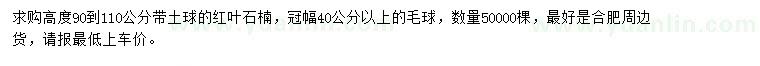 求購高90-110公分紅葉石楠