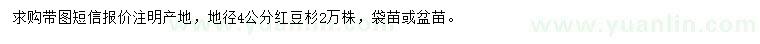 求購(gòu)地徑4公分紅豆杉