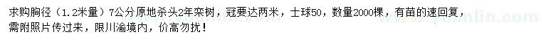 求購1.2米量胸徑7公分欒樹