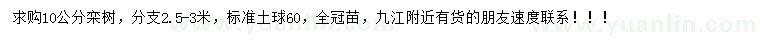 求購10公分欒樹
