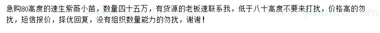 求購(gòu)高80公分速生紫薇小苗