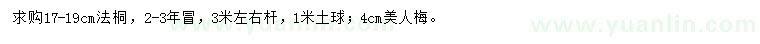 求購法桐、美人梅