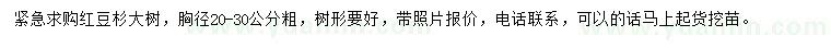 求購(gòu)胸徑20-30公分紅豆杉