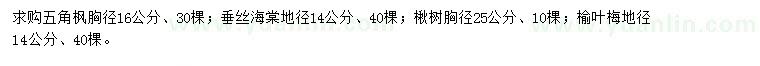 求購五角楓、垂絲海棠、楸樹等