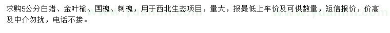 求購白蠟、金葉榆、國(guó)槐等