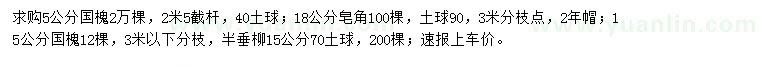 求購國槐、皂角、半垂柳