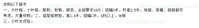 求購大葉榕、小葉榕、紫荊等