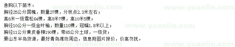 求購(gòu)國(guó)槐、雪松、金葉榆等