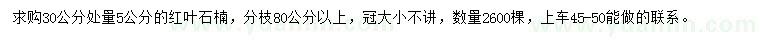 求購30公分處量5公分紅葉石楠