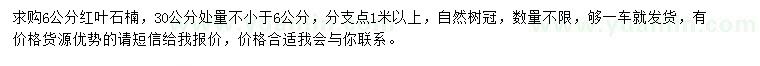 求購6公分紅葉石楠