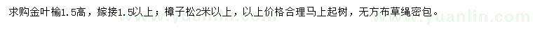 求購金葉榆、樟子松