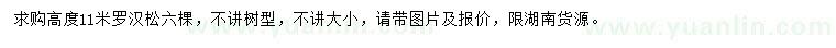 求購高11米羅漢松