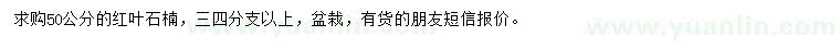 求購50公分紅葉石楠