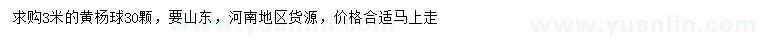 求購3米黃楊球