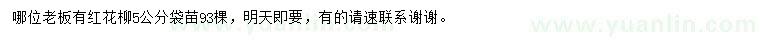 求購5公分紅花柳