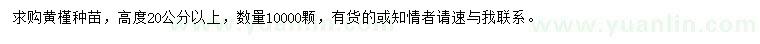 求購高20公分以上黃槿